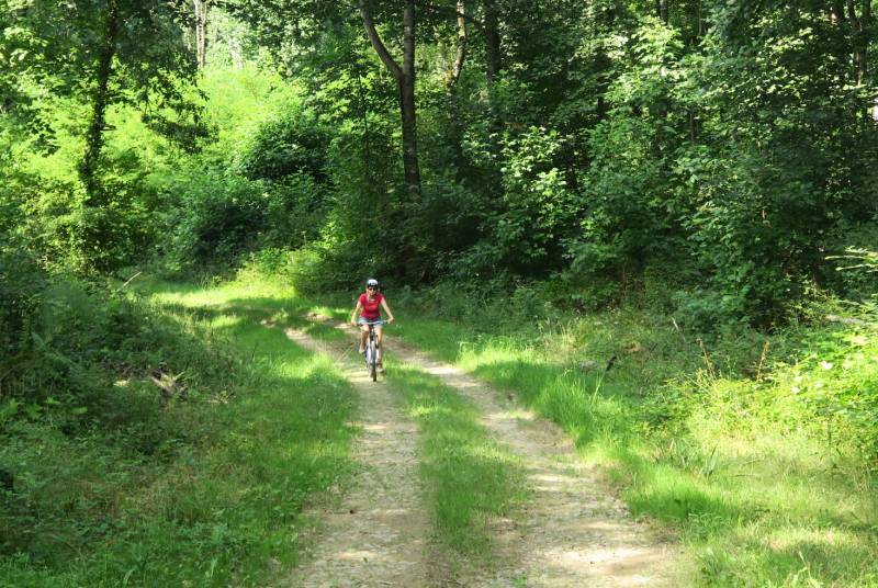 Randonnée : VTT N°71 - Le Bois de Saint-Pée