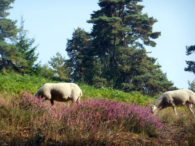 Randonnée : Métamorphoses paysagères
