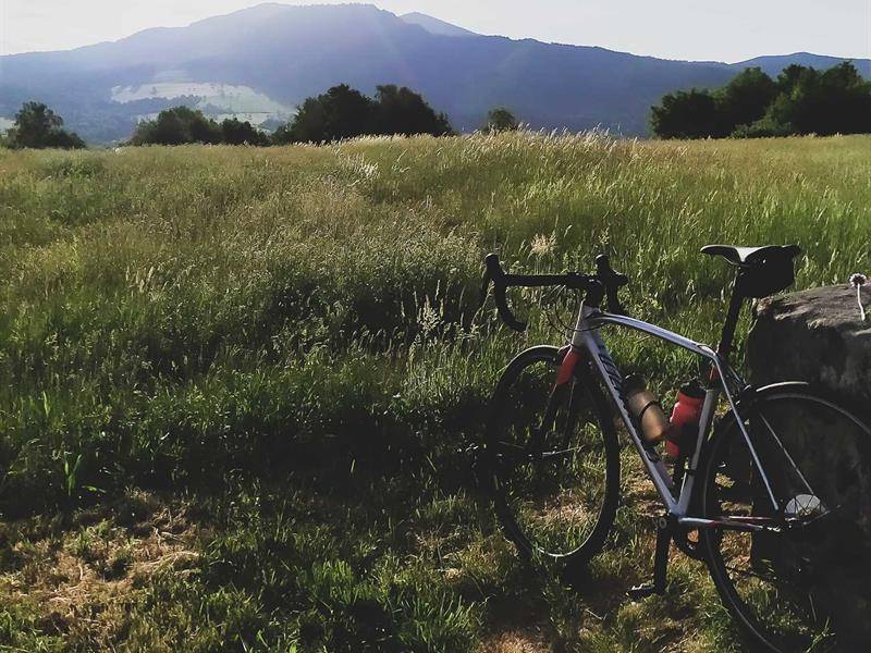 Randonnée : Circuit vélo route - Col de Steige - Col de la Charbonnière - Champ du Feu