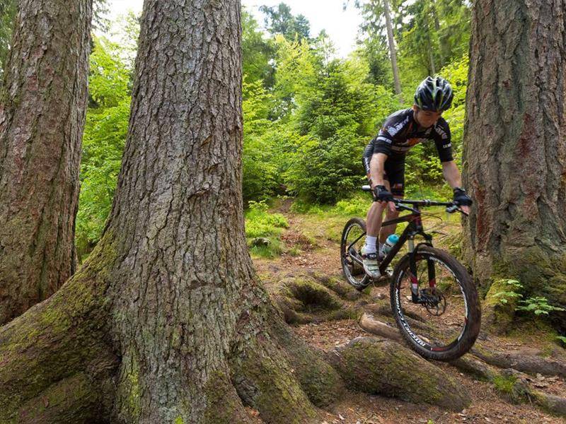 Randonnée : Circuit VTT n° 95 vieux Saint-Laurent