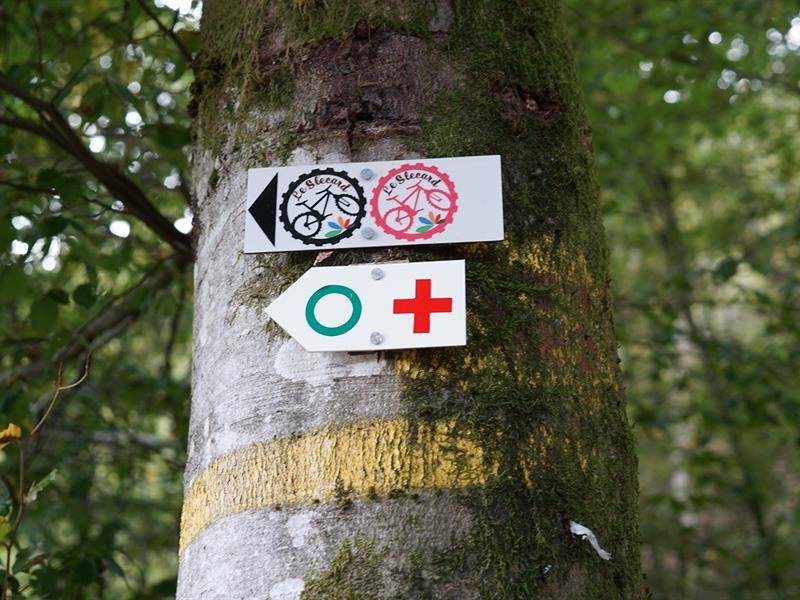 Randonnée : Circuit vtt Saint-Nabord - le slecard noir
