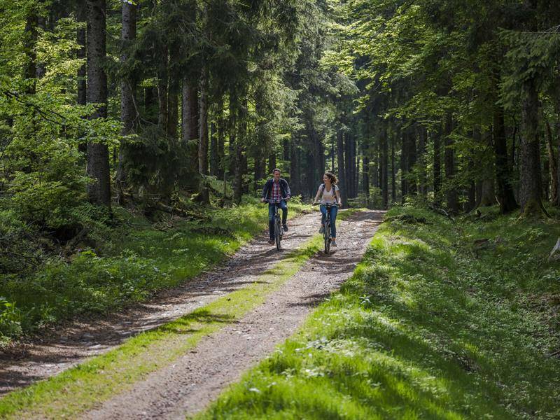 Randonnée : Circuit VTT H12 : Entre le Climont et le Voyemont