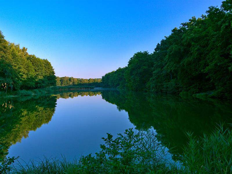 Randonnée : Oderfang - Porcelette - Creutzwald
