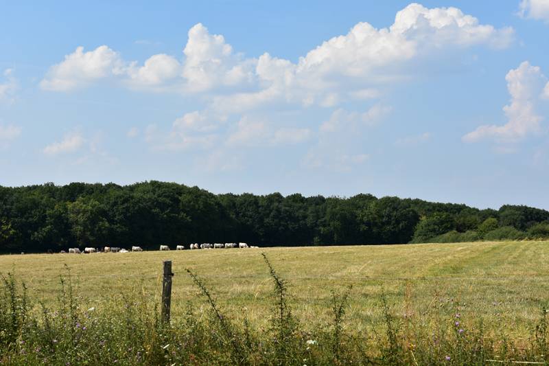 Randonnée : Circuit de la Taille d'enfer
