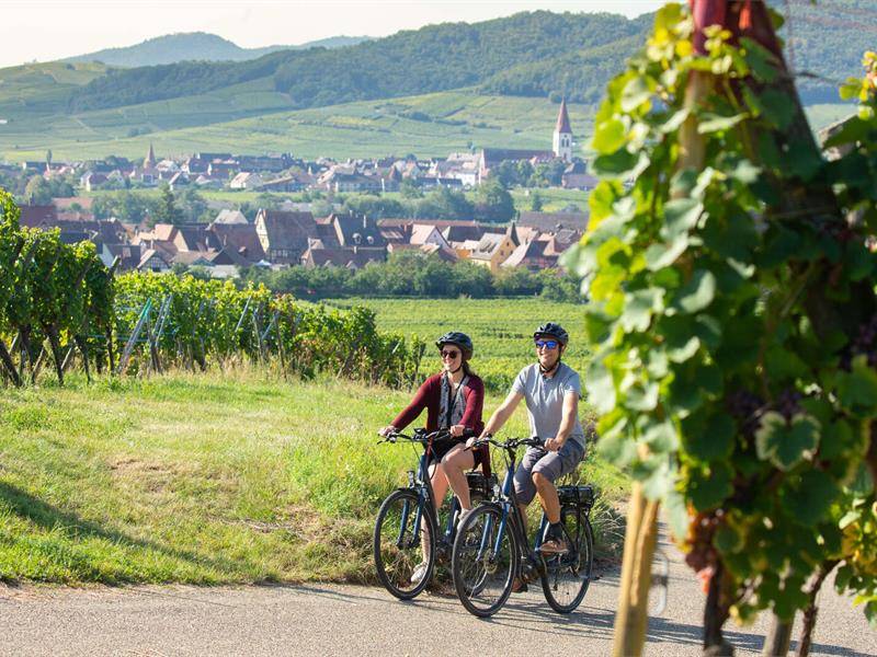 Randonnée : Piste cyclable - Marlenheim / Soultz-les-bains