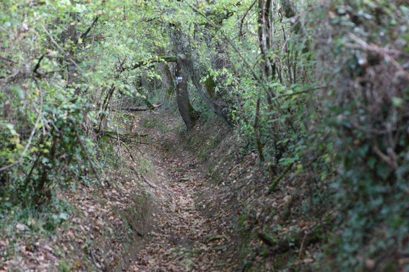 Randonnée : A Miramont-Sensacq, circuit de Saint-Jacques-de-Compostelle