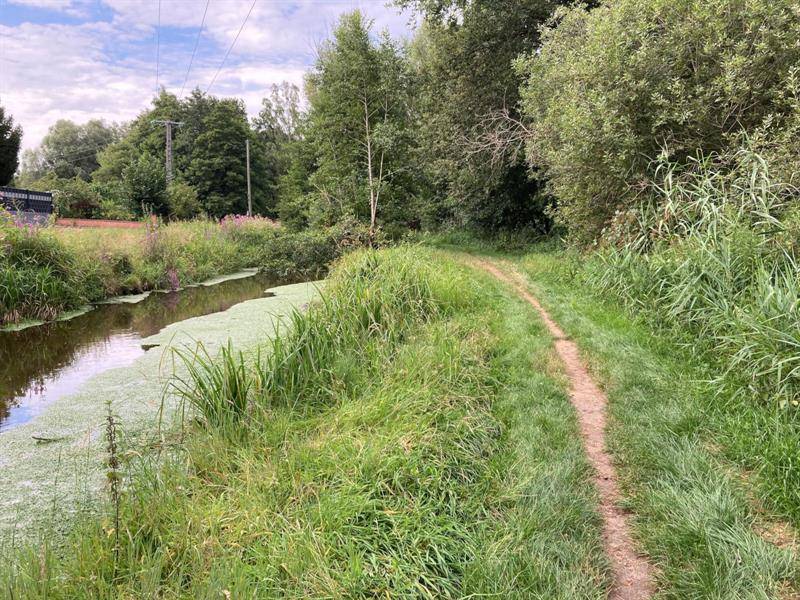 Randonnée : Sentier de la Moder
