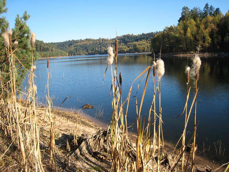 Randonnée : Circuit VTT autour des Lacs - n°7
