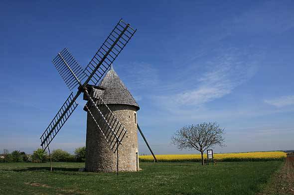 Randonnée : La Dive et les Moulins