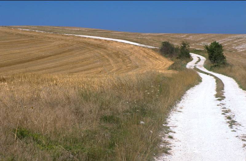 Randonnée : Circuit des Deux Crêtes