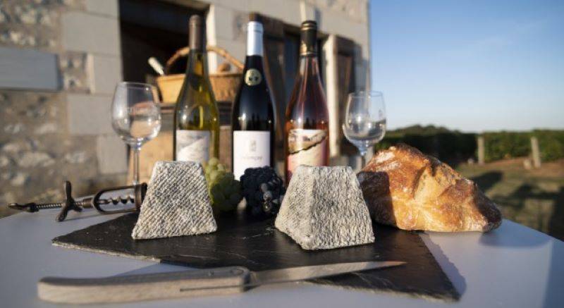 Randonnée : Circuit vélo & fromages "Le goût du Valençay"
