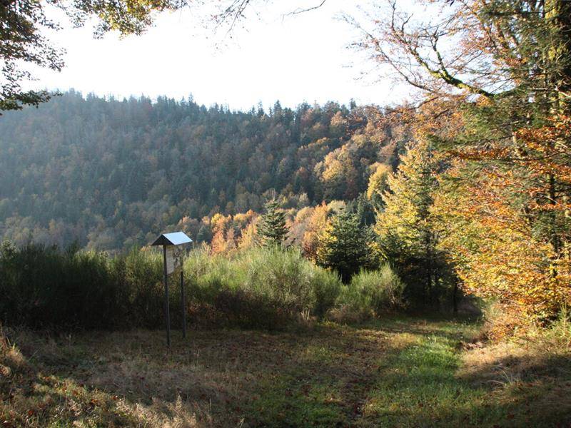 Randonnée : Randonnée - Chemin de la résistance et de la liberté