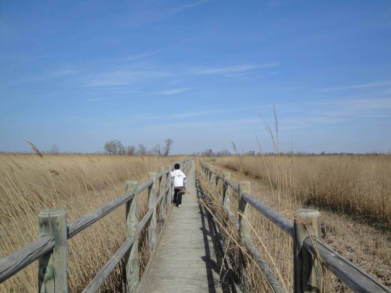Randonnée : ARLES - Sur le sentier du Pont de Rousty