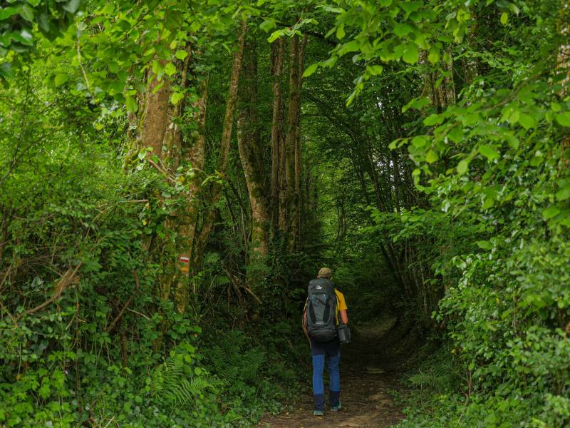 Randonnée : GR®46 - Etape 3 : de Beaumont à Chamboulive