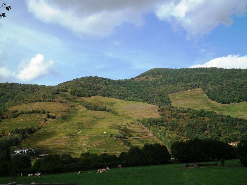 Randonnée : Etchaine