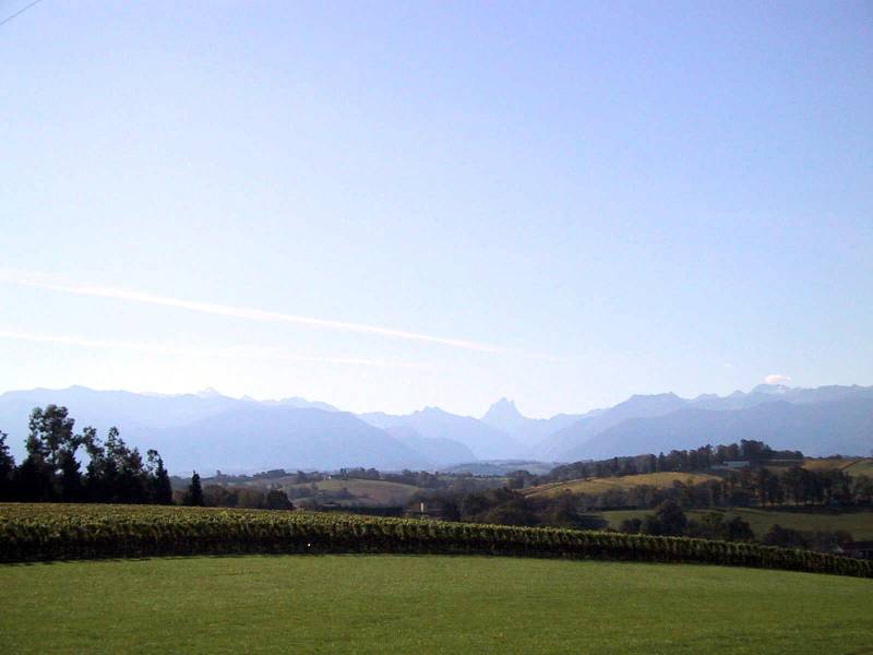 Randonnée : Les coteaux de Jurançon (cyclotourisme)