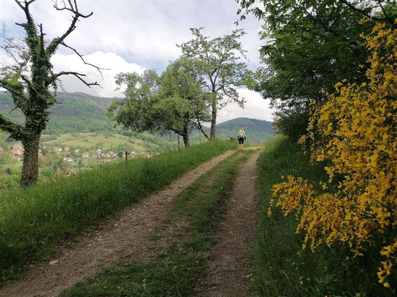Randonnée : Randonnée - Boucle des trois villages
