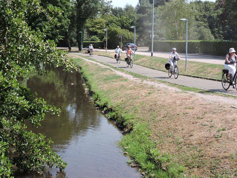 Randonnée : Circuit vélo Vins et Choucroute