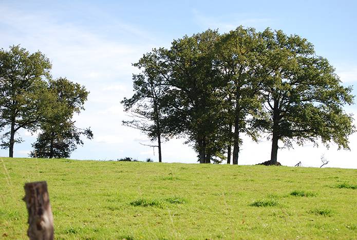 Randonnée : La Boucle VTT d'Aixe-sur-Vienne - Circuit n°2 Val du Val de Vienne Tour