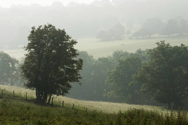 Randonnée : Balade à pied n°68 - La vallée de l'Abloux et ses forges