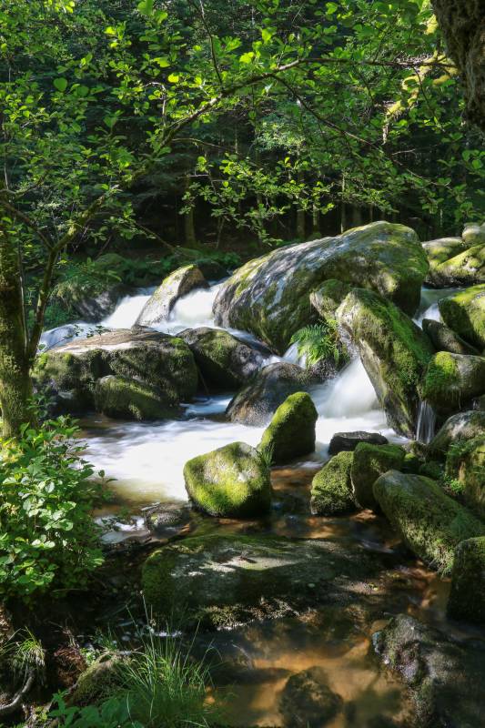 Randonnée : Cascades et moulins du Deiro