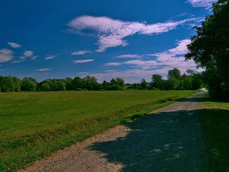 Randonnée : Liaison pédestre Volmerange-les-Boulay - Brecklange