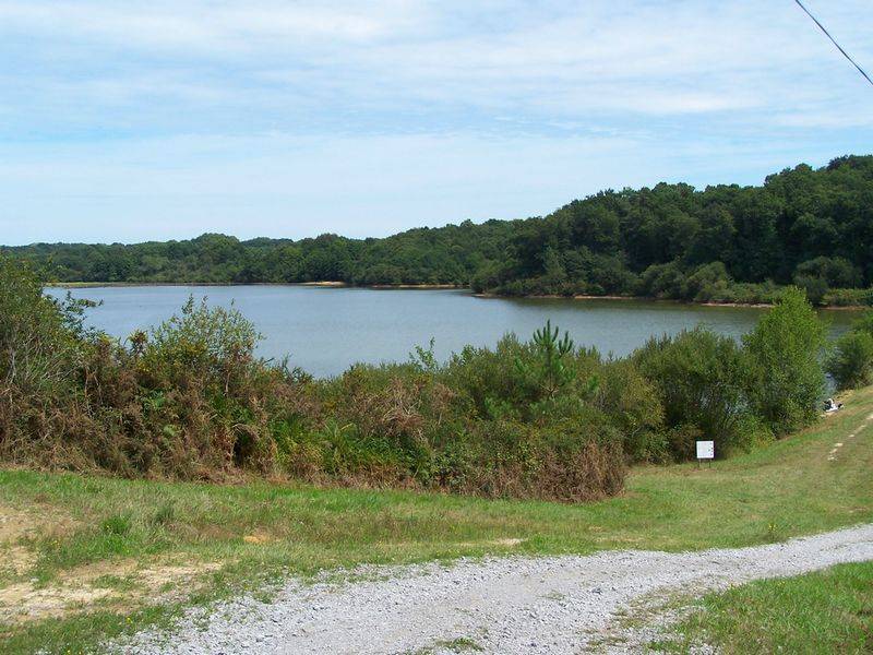 Randonnée : Entre bois et lac à Biarrotte