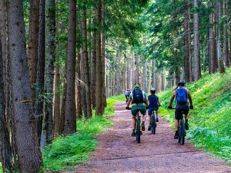 Randonnée : Circuit VTT n°85 les écluses