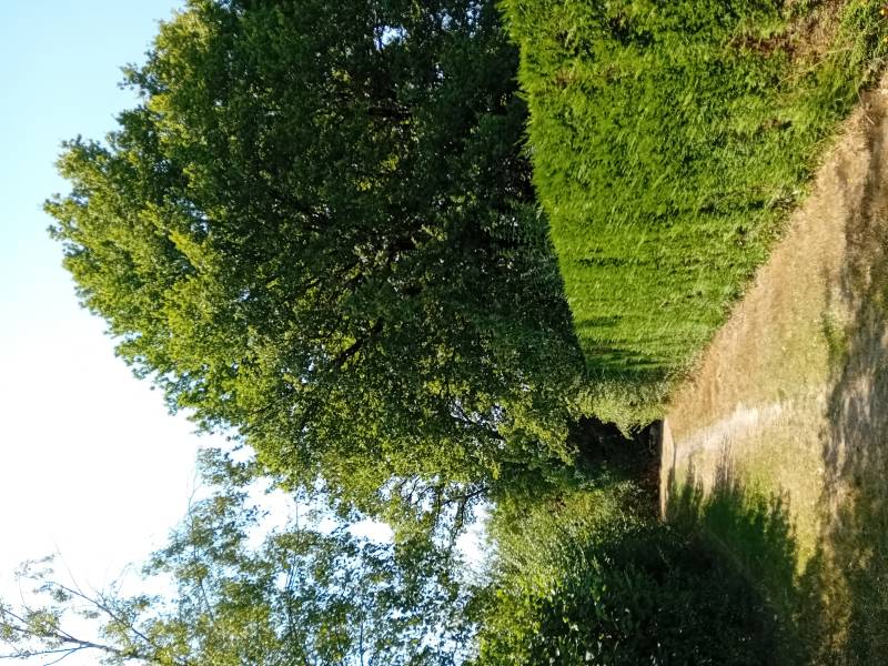 Randonnée : Saint-Amand-sur-Sèvre : circuit n°1, Le tour du bourg avec explications de l'histoire et du patrimoine
