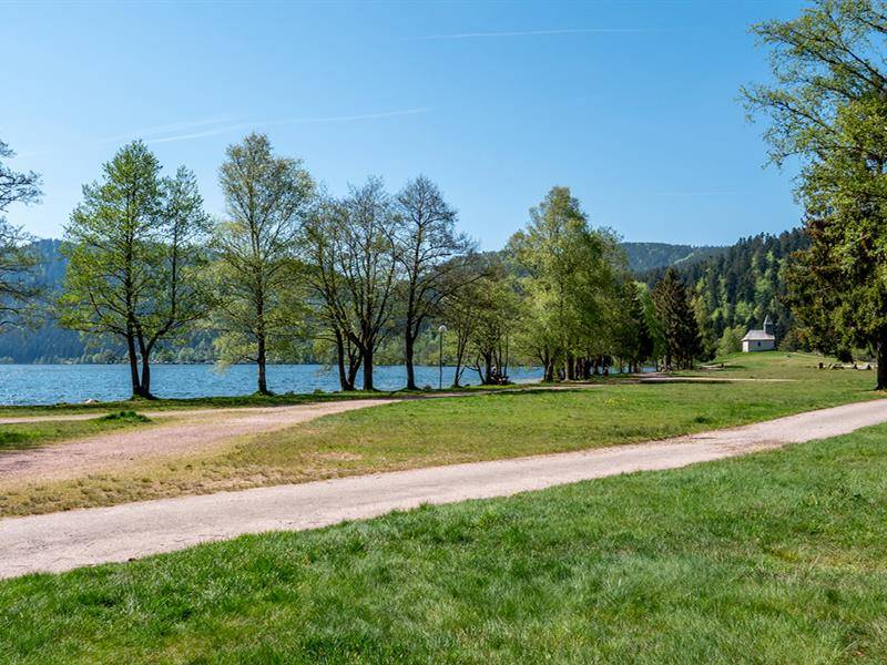 Randonnée : Balade du Tour du lac de Longemer