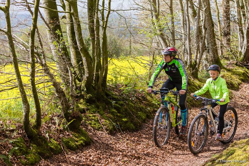 Randonnée : Entre vallons et haies bocagères
