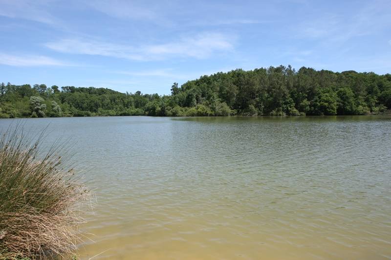 Randonnée : A Cazalis, circuit des lacs d'Halco et des Fontaines