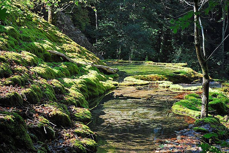 Randonnée : Sentier de découverte de la tufière de Rolampont