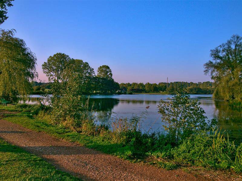Randonnée : Circuit Réding - Sarrebourg