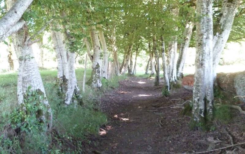 Randonnée : Variante par Nouailhaguet - Sentier de Meilhac
