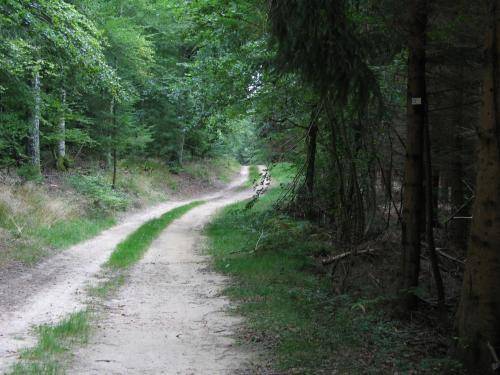 Randonnée : Circuit de la Feigne orientale