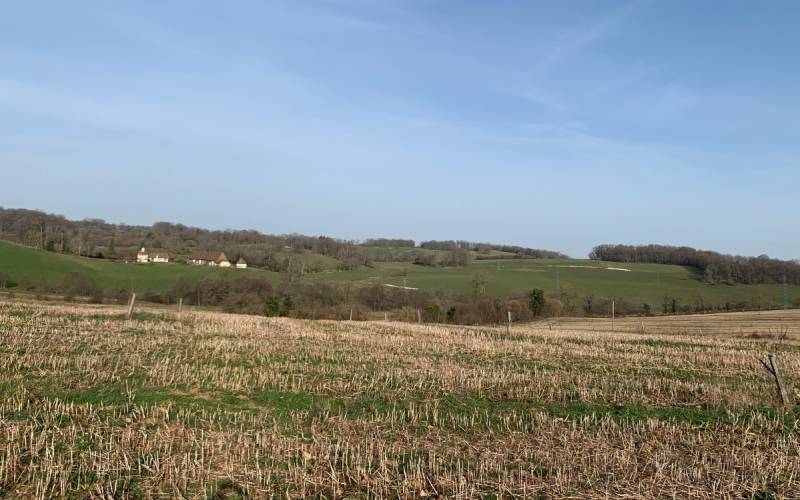 Randonnée : Boucle cyclotouristique La forêt de Meuzac