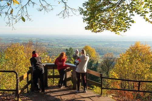 Randonnée : Circuit de randonnée entre Lobsann, le Soultzerkopf et Drachenbronn