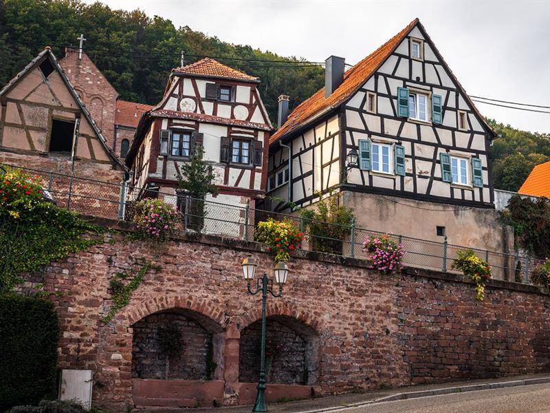 Randonnée : Circuit de randonnée depuis Oberbronn vers le Wasenkoepfel via le Buckelstein