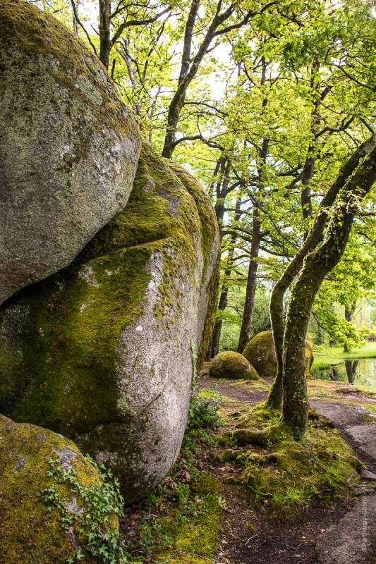 Randonnée : De la vallée de la Vonne à Bois Pouvreau