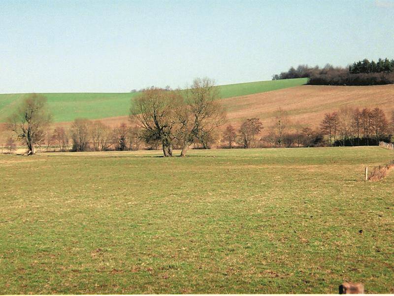 Randonnée : Circuit pédestre - sentier des rappes