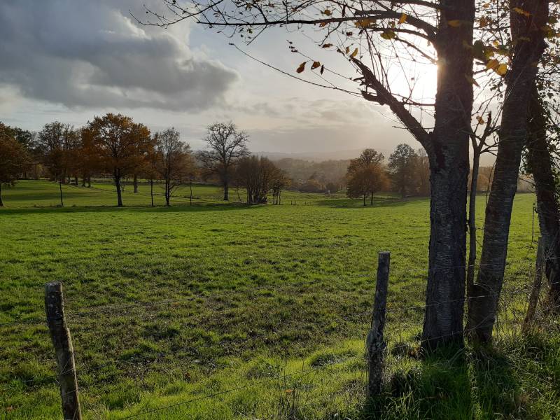 Randonnée : Sentier des belles vues