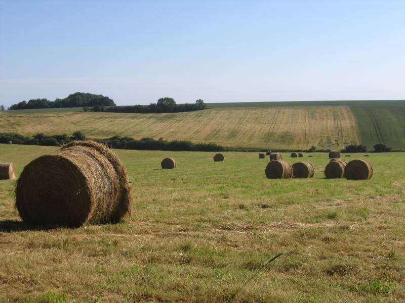 Randonnée : Entre Vallée du Thérain et Val du Sillet
