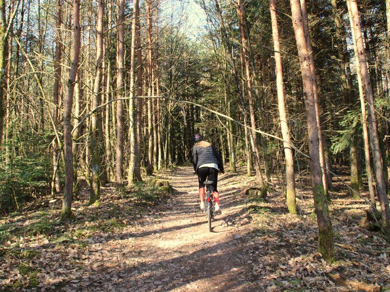 Randonnée : Circuit VTT des sources