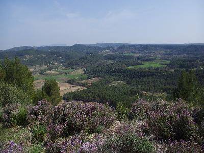 Randonnée : Le sentier des Vignerons de Rognes