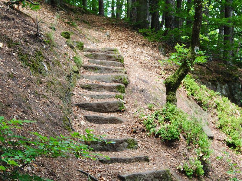 Randonnée : US Trail 2 : l'Avison ou Hill D