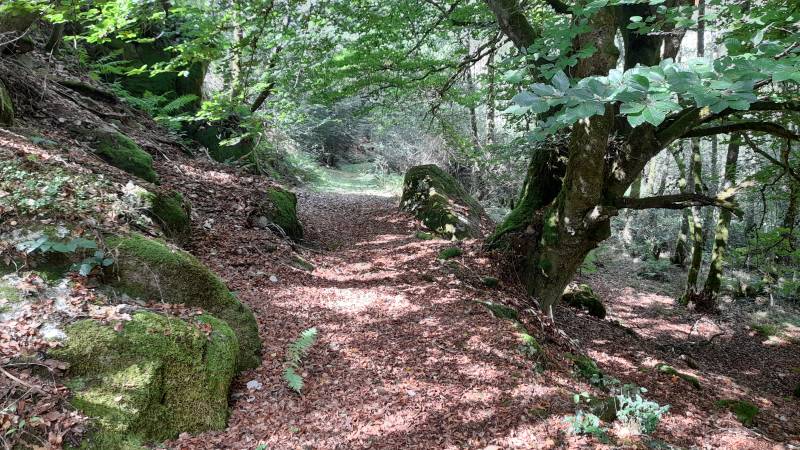 Randonnée : Sentier d'interprétation des pierres fades