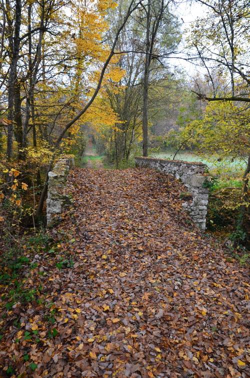 Randonnée : Lacaussade, la balade du bois de Grèzelongue