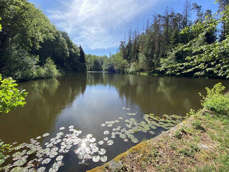 Randonnée : Randonnée - cascade de miraumont par la piotte