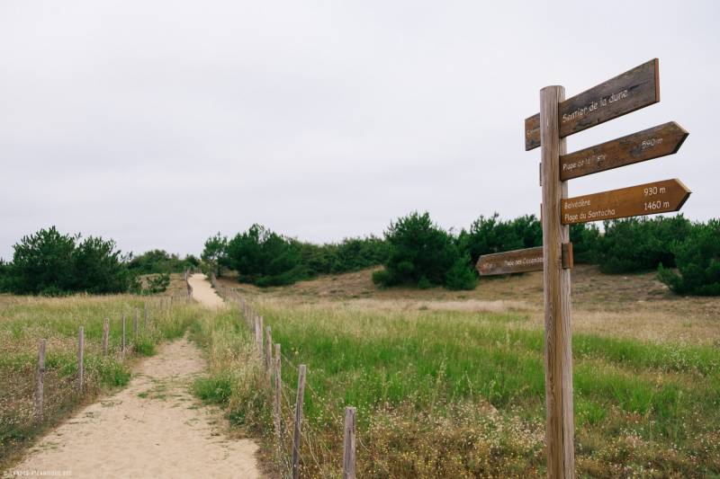 Randonnée : Sentier de la Dune